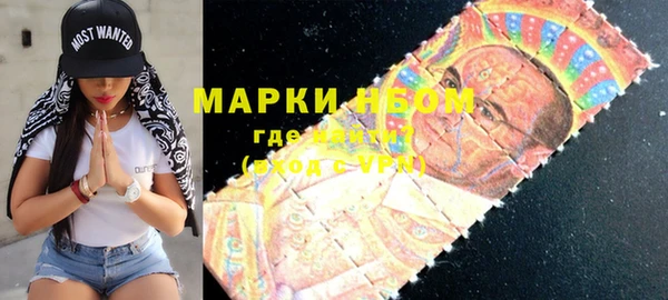 эйфоретик Няндома