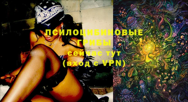 Альфа ПВП Алексеевка