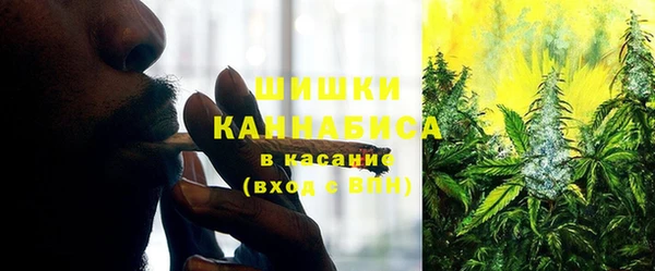 прущие крисы Алзамай